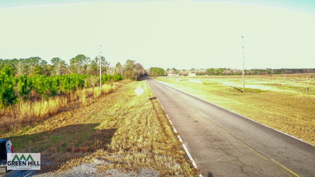 Bleckley County GA 25 Acres +/ Land for Sale Green Hill Land