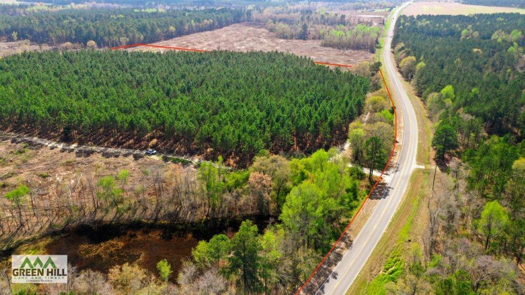 Dodge County GA 36 Acres +/ Green Hill Land & Forestry