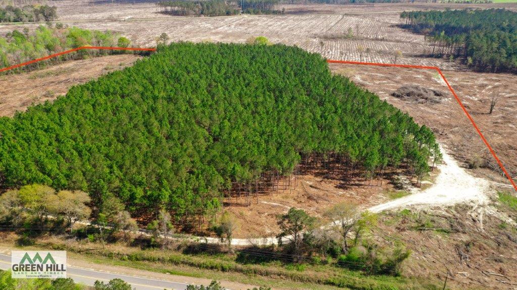 Dodge County GA 36 Acres +/ Green Hill Land & Forestry