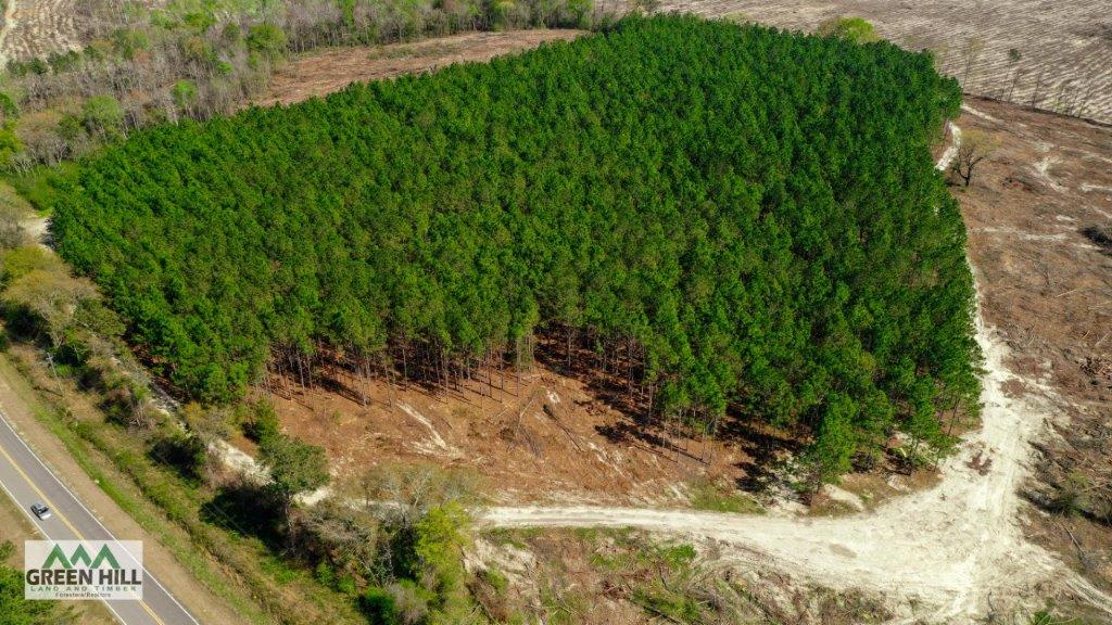 Dodge County GA 36 Acres +/ Green Hill Land & Forestry