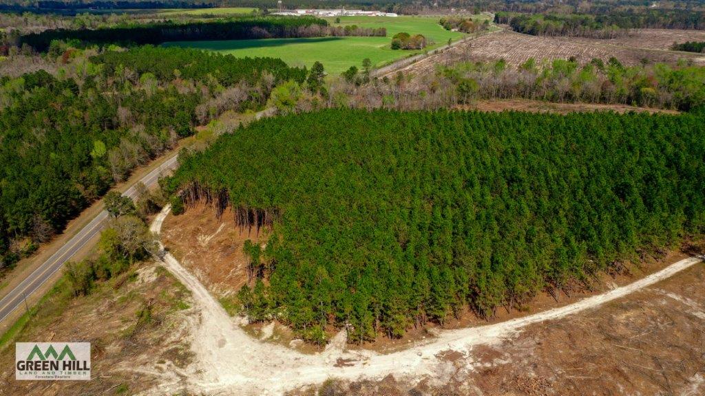 Dodge County GA 36 Acres +/ Green Hill Land & Forestry