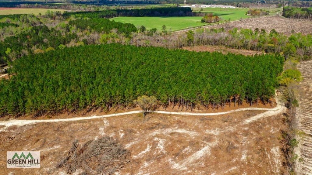 Dodge County GA 36 Acres +/ Green Hill Land & Forestry
