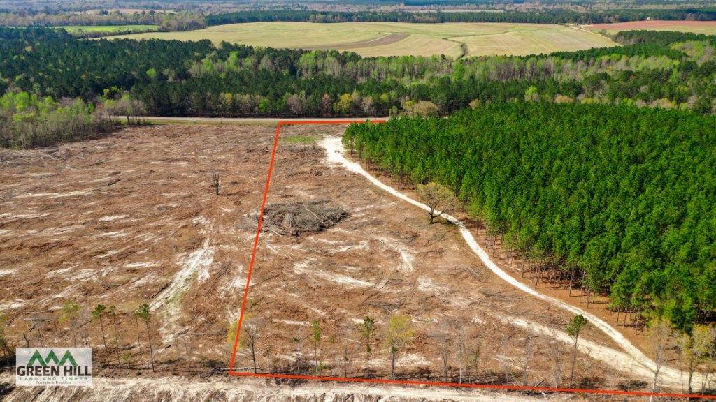 Dodge County GA 36 Acres +/ Green Hill Land & Forestry