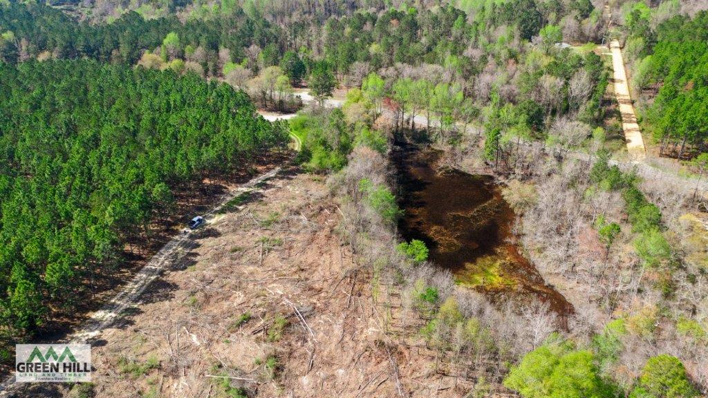 Dodge County GA 36 Acres +/ Green Hill Land & Forestry