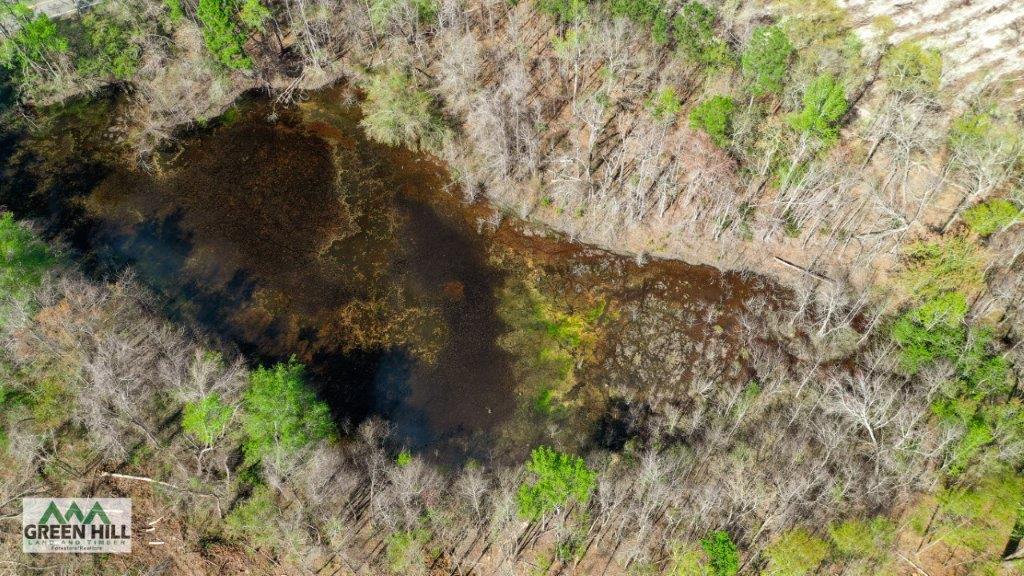 Dodge County GA 36 Acres +/ Green Hill Land & Forestry