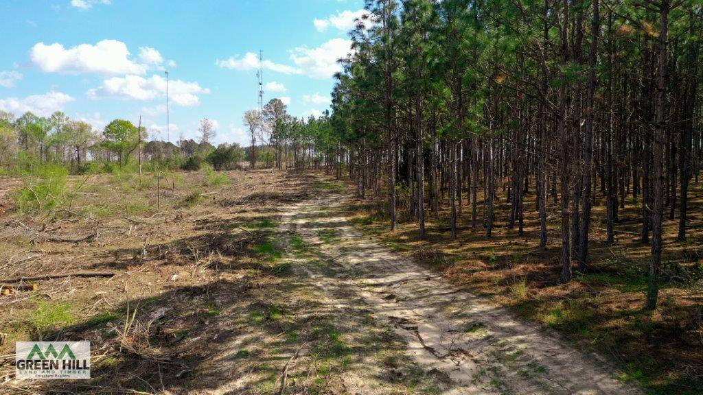 Dodge County GA 36 Acres +/ Green Hill Land & Forestry