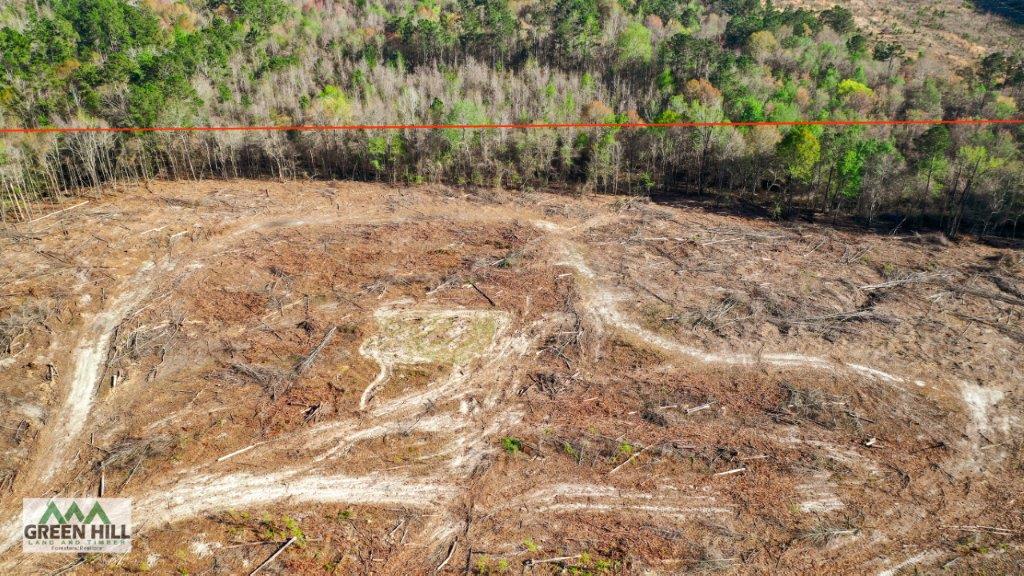 Dodge County GA 19 Acres +/ Green Hill Land & Forestry
