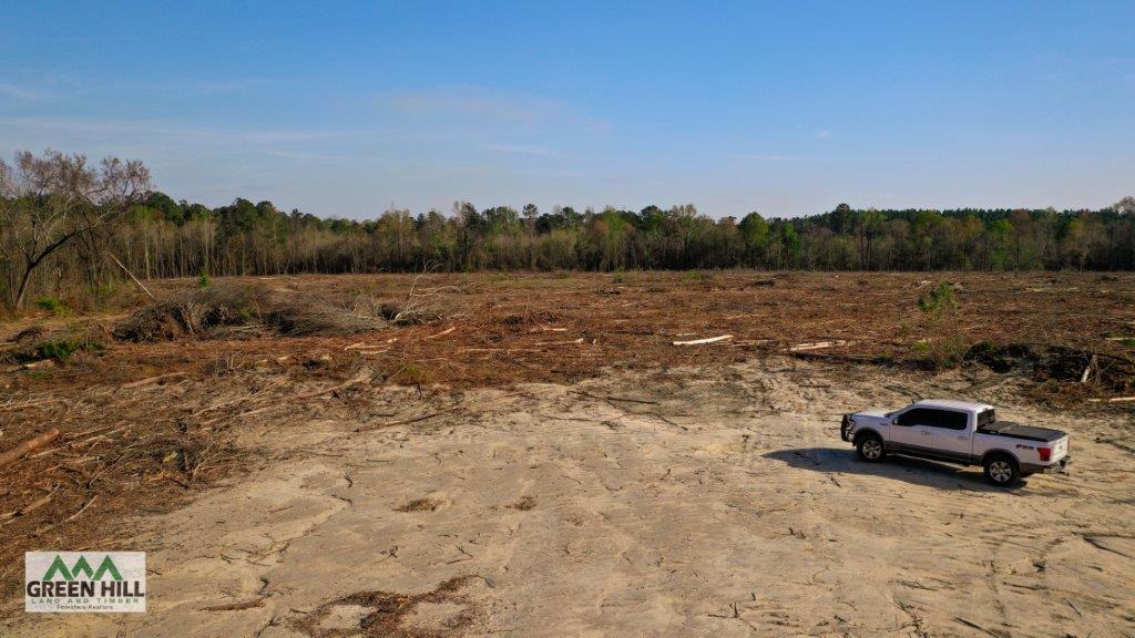 Dodge County GA 19 Acres +/ Green Hill Land & Forestry