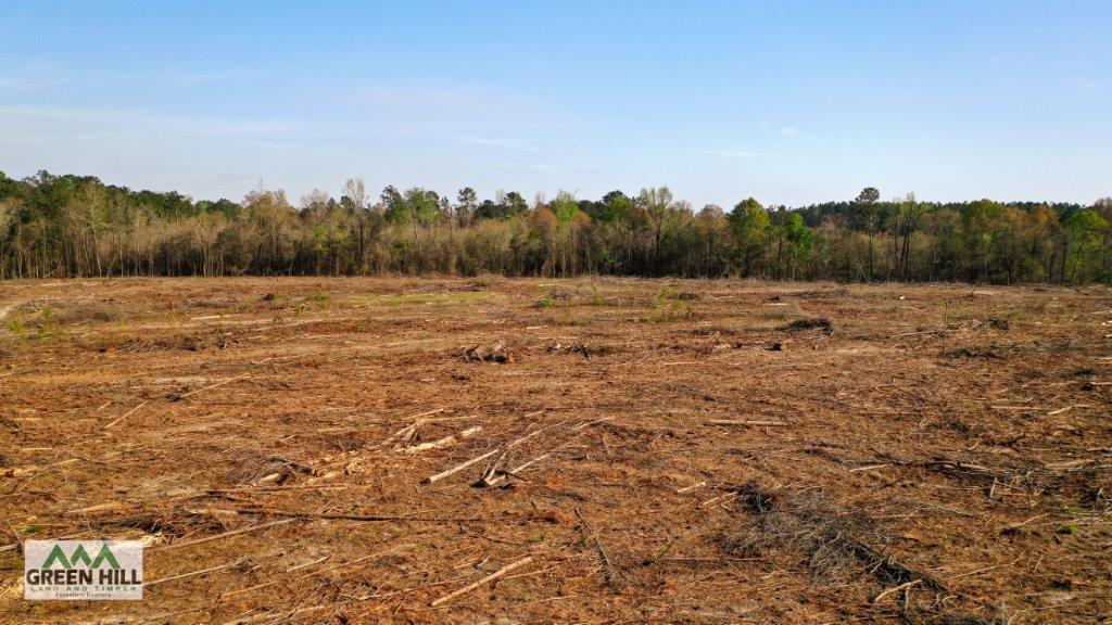 Dodge County GA 19 Acres +/ Green Hill Land & Forestry