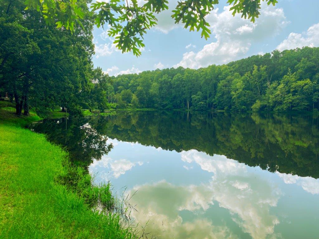 Walton County GA 113 Acres +/ Green Hill Land & Timber