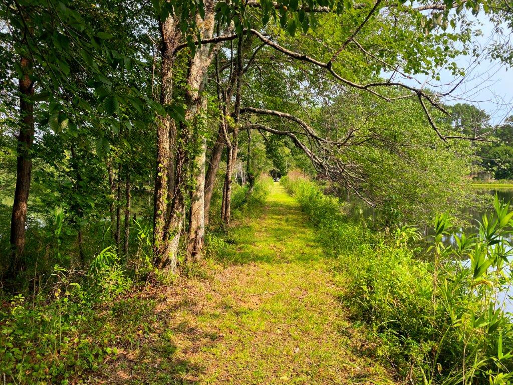 Walton County GA 113 Acres +/ Green Hill Land & Timber