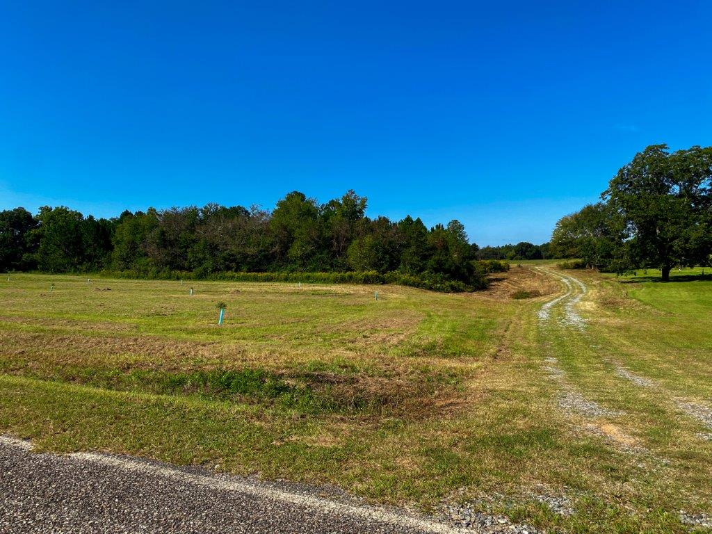 Crisp County, GA 84 Acres +/ For Sale Green Hill Land & Timber