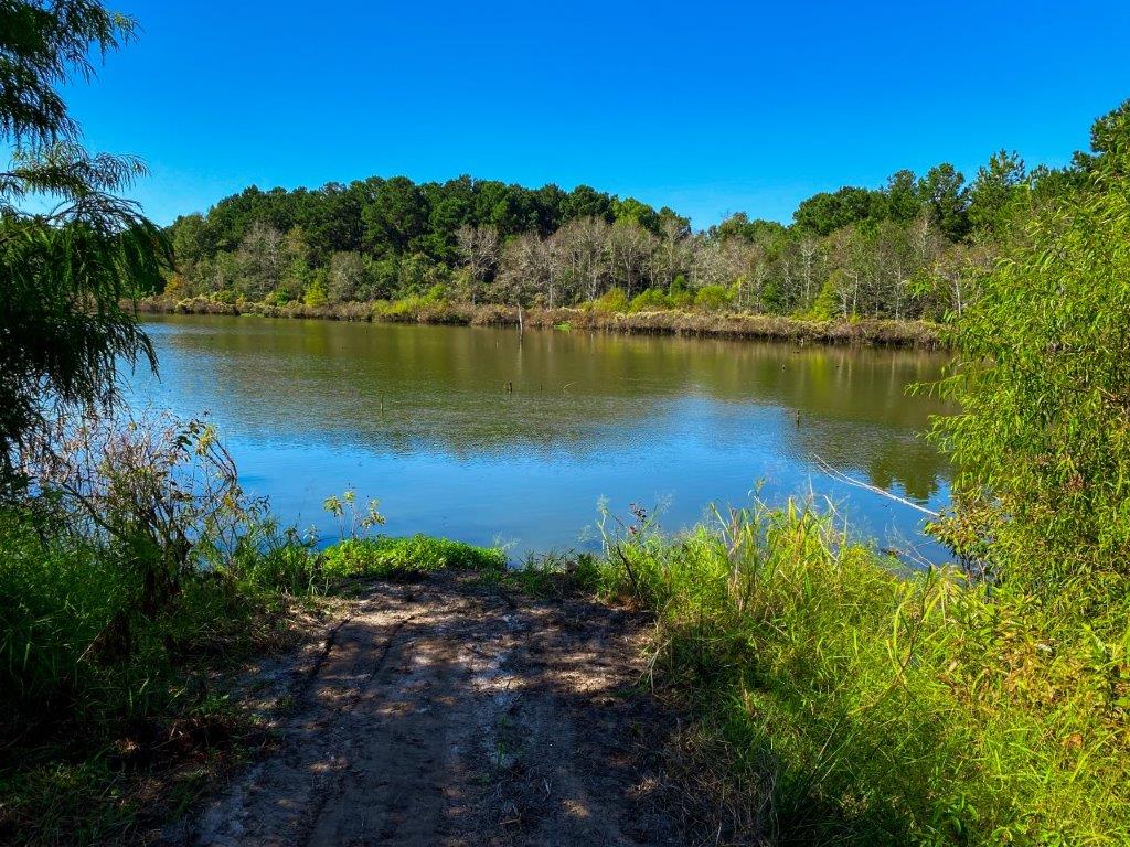 Crisp County, GA 84 Acres +/ For Sale Green Hill Land & Timber