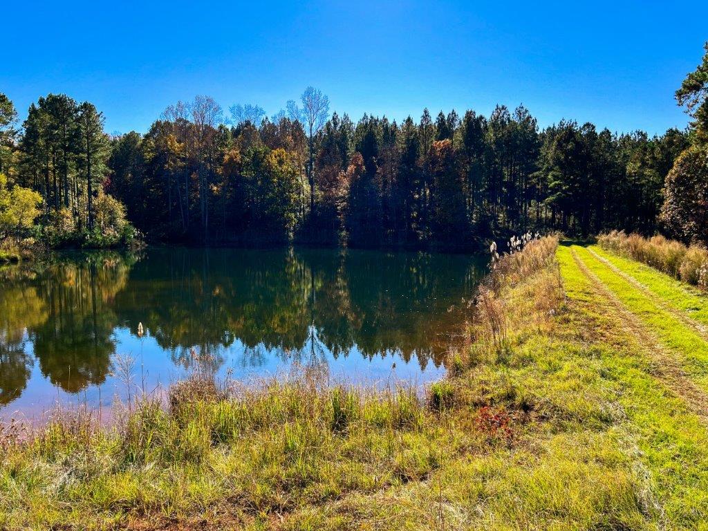 Jones County GA 328 Acres +/ Green Hill Land & Forestry