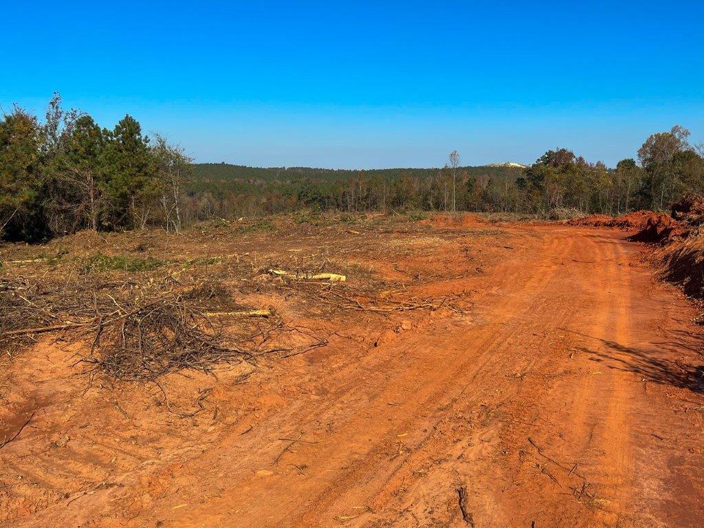 Twiggs County GA 287 Acres +/ Green Hill Land & Timber