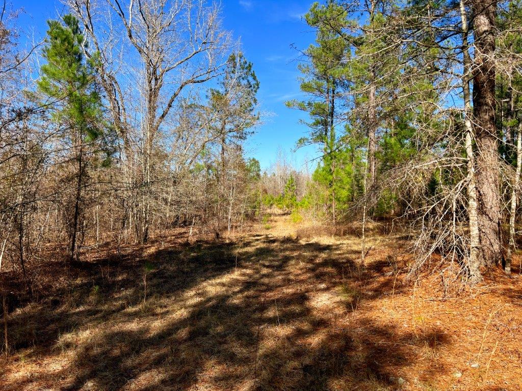 Johnson County GA 175 Acres +/ Green Hill Land & Timber
