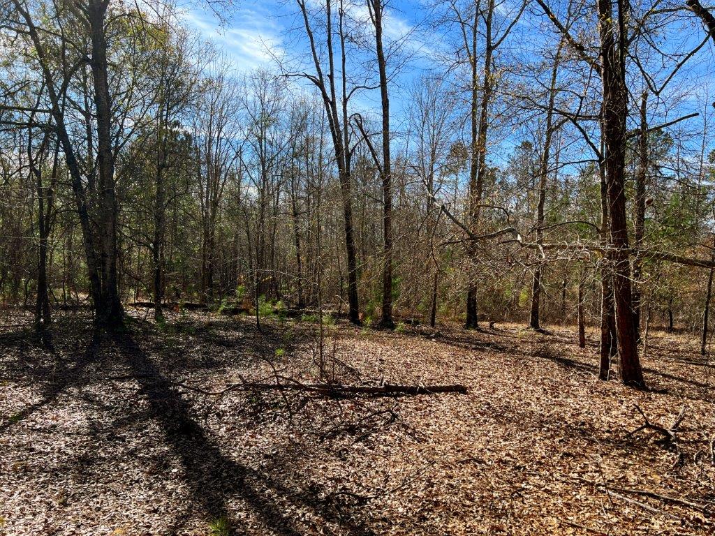 Johnson County GA 175 Acres +/ Green Hill Land & Timber