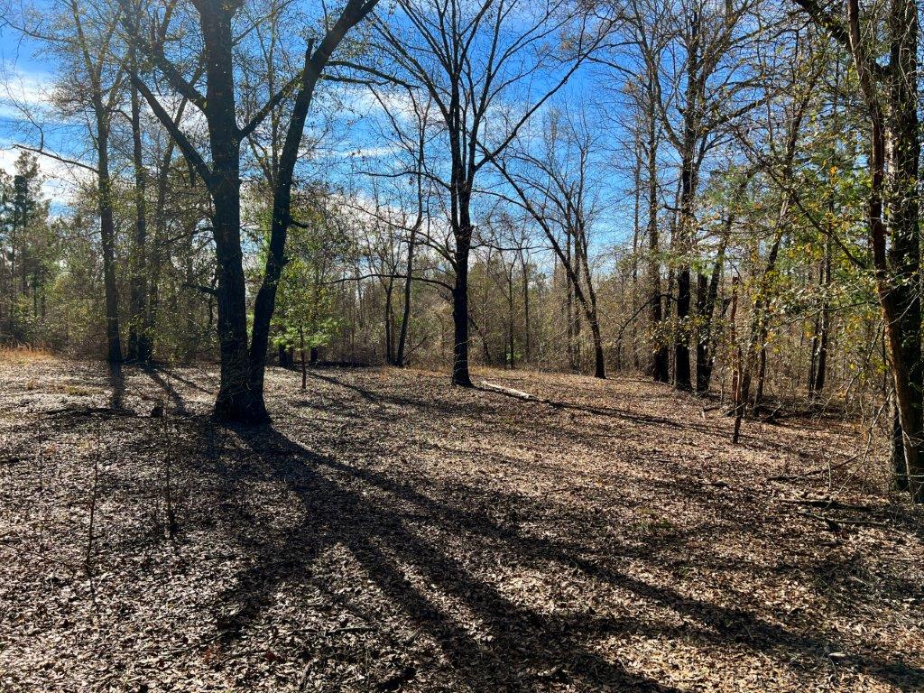 Johnson County GA 175 Acres +/ Green Hill Land & Timber
