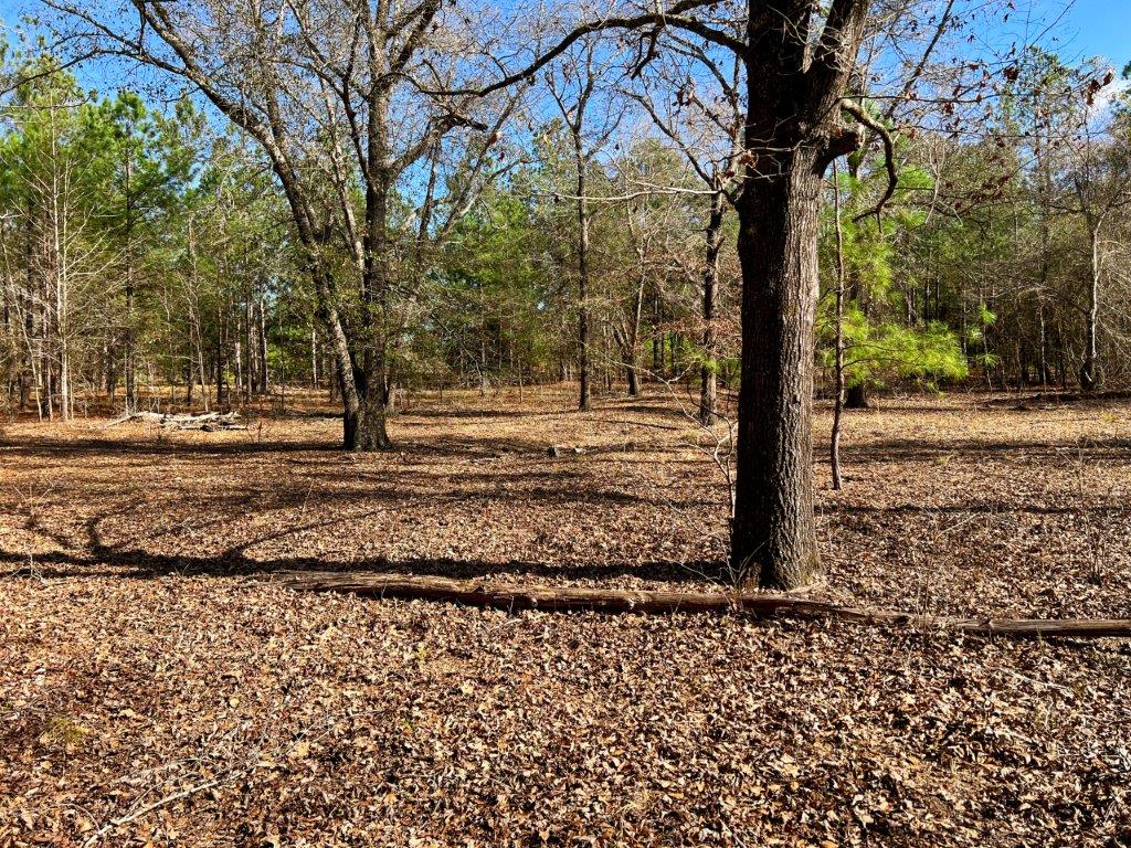 Johnson County GA 175 Acres +/ Green Hill Land & Timber