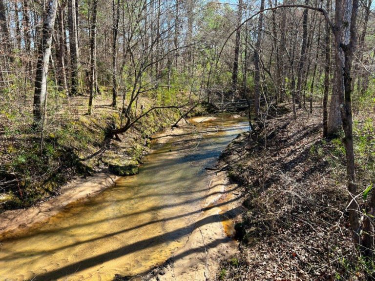 Green Hill Land & Timber and South Carolina Land For Sale