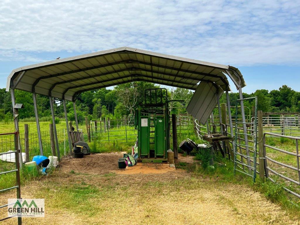 Pulaski County GA 104 Acres Green Hill Land & Forestry