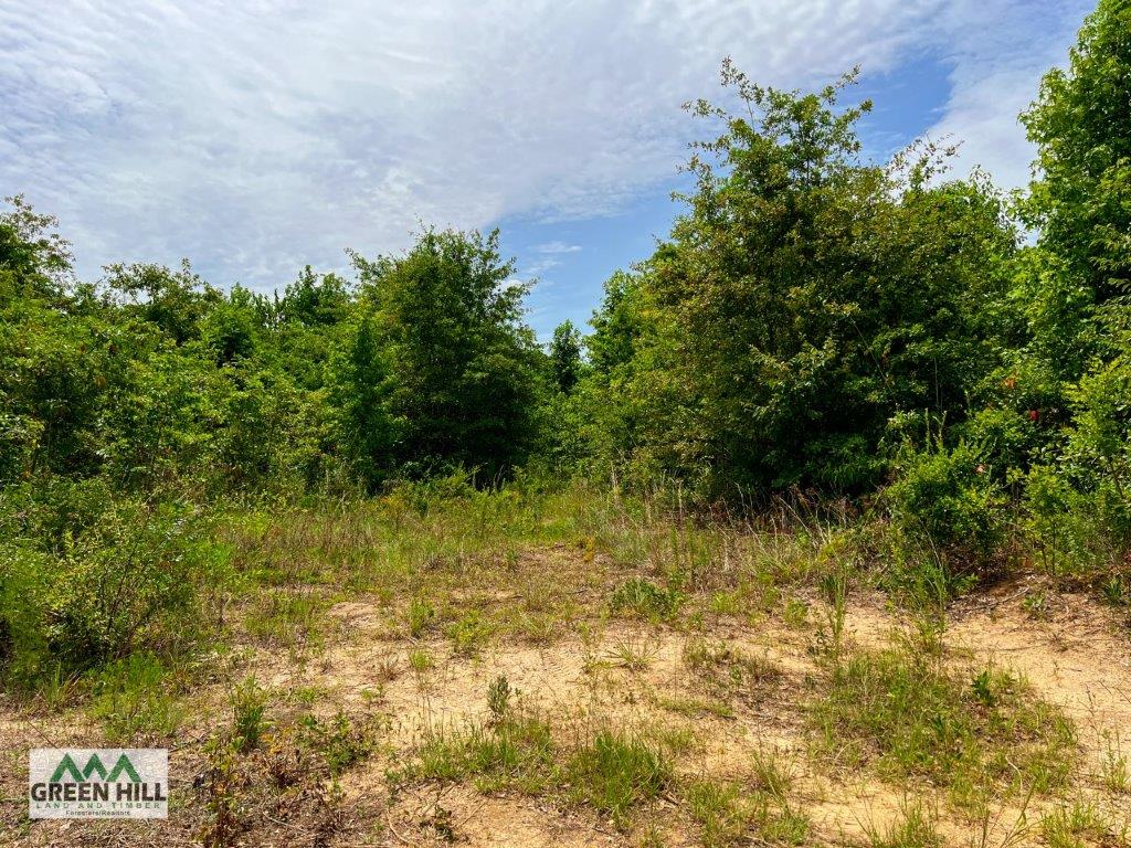 Pulaski County GA 104 Acres Green Hill Land & Forestry