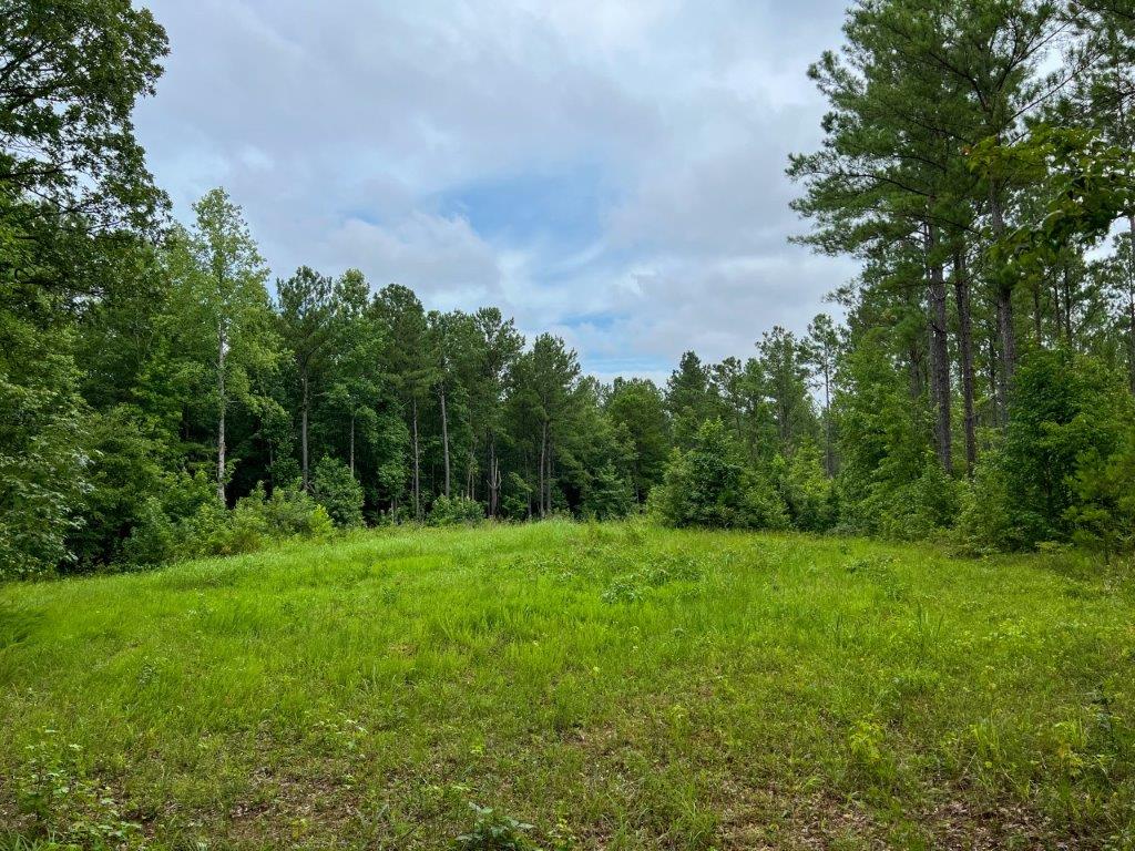 Taliaferro County GA 264 Acres Green Hill Land & Timber