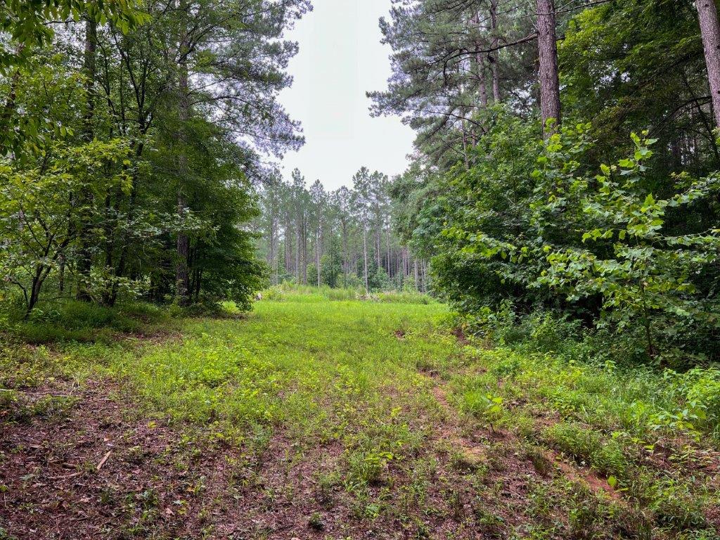 Taliaferro County GA 264 Acres Green Hill Land & Timber