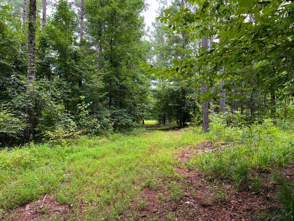 Taliaferro County GA 264 Acres Green Hill Land & Timber