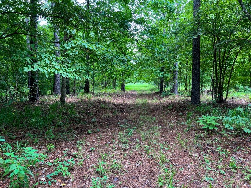 Taliaferro County GA 264 Acres Green Hill Land & Timber