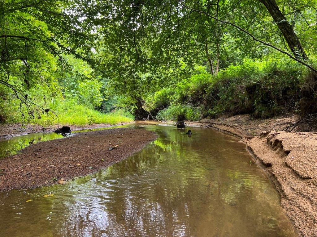 Green Hill Land & Timber and South Carolina Land For Sale