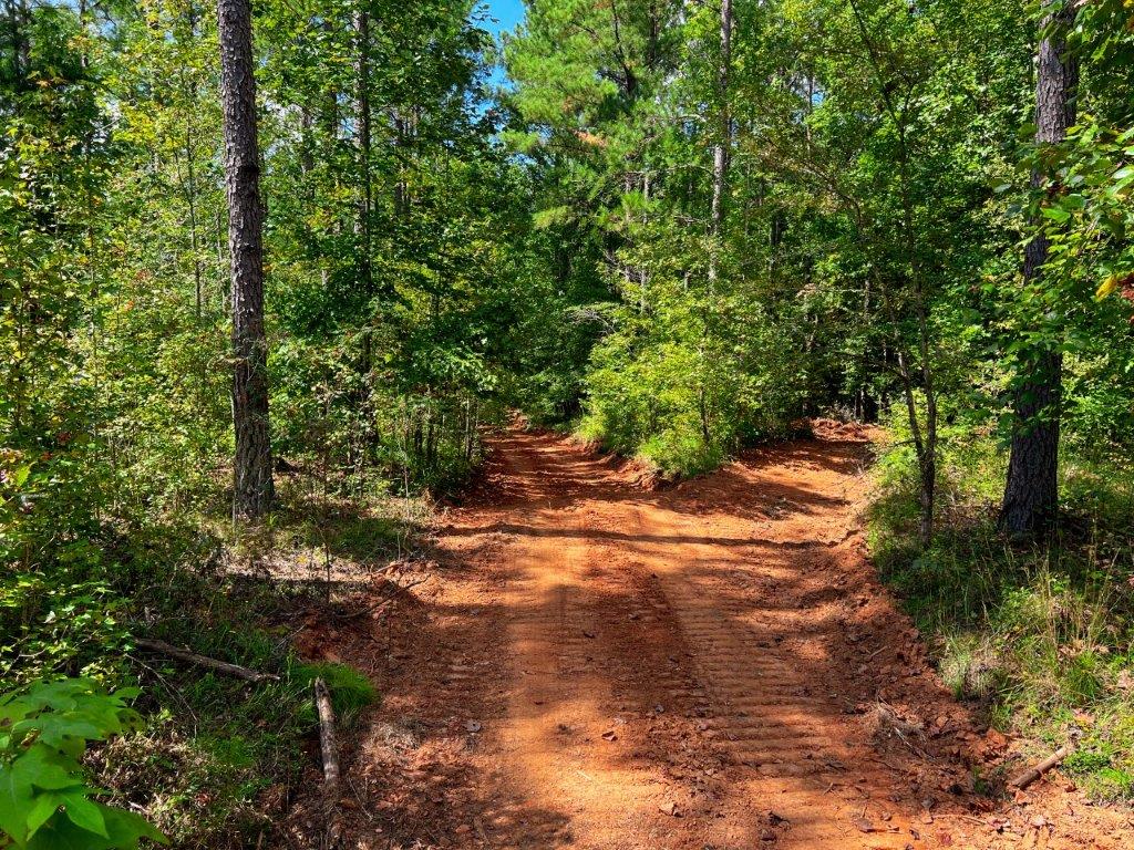 Taliaferro County GA 264 Acres Green Hill Land & Timber