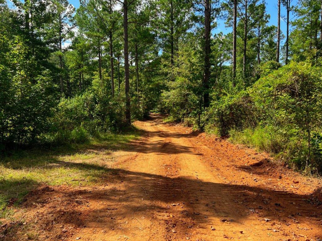 Taliaferro County GA 264 Acres Green Hill Land & Timber