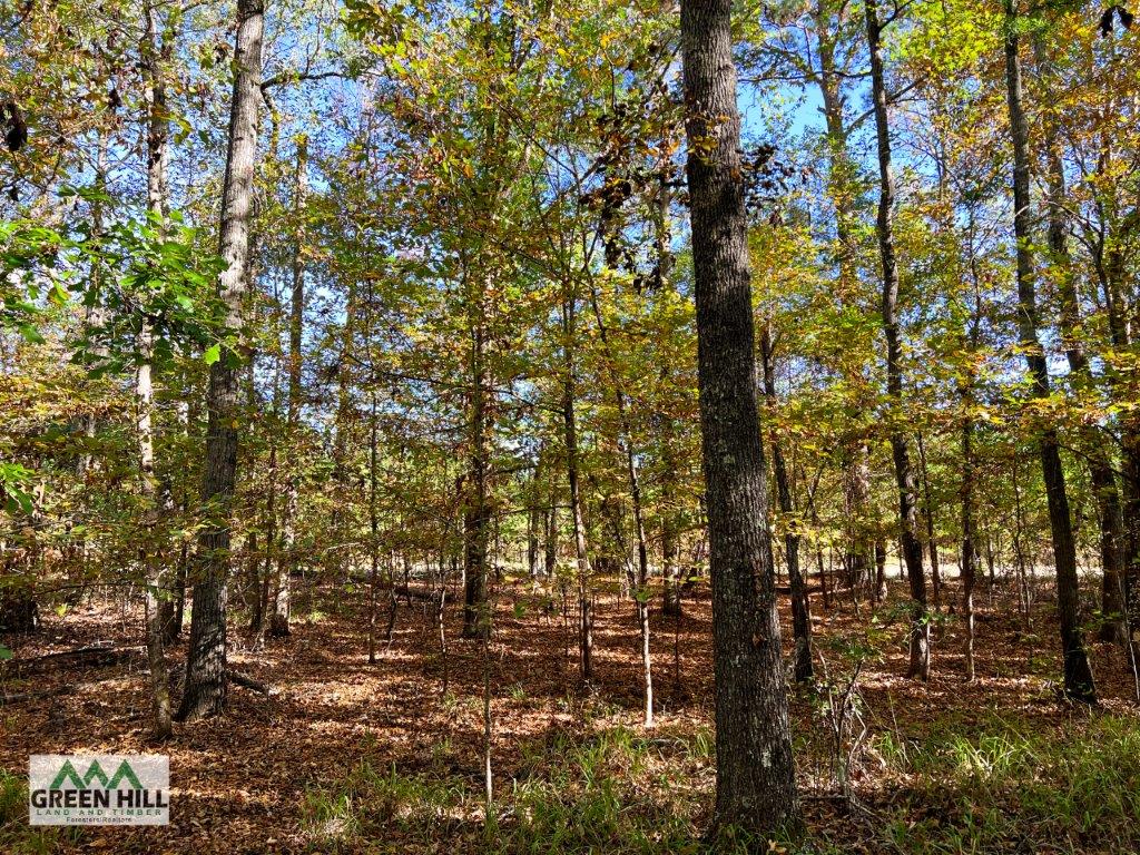 Jenkins County GA 88.5 Acres +/ Green Hill Land & Forestry