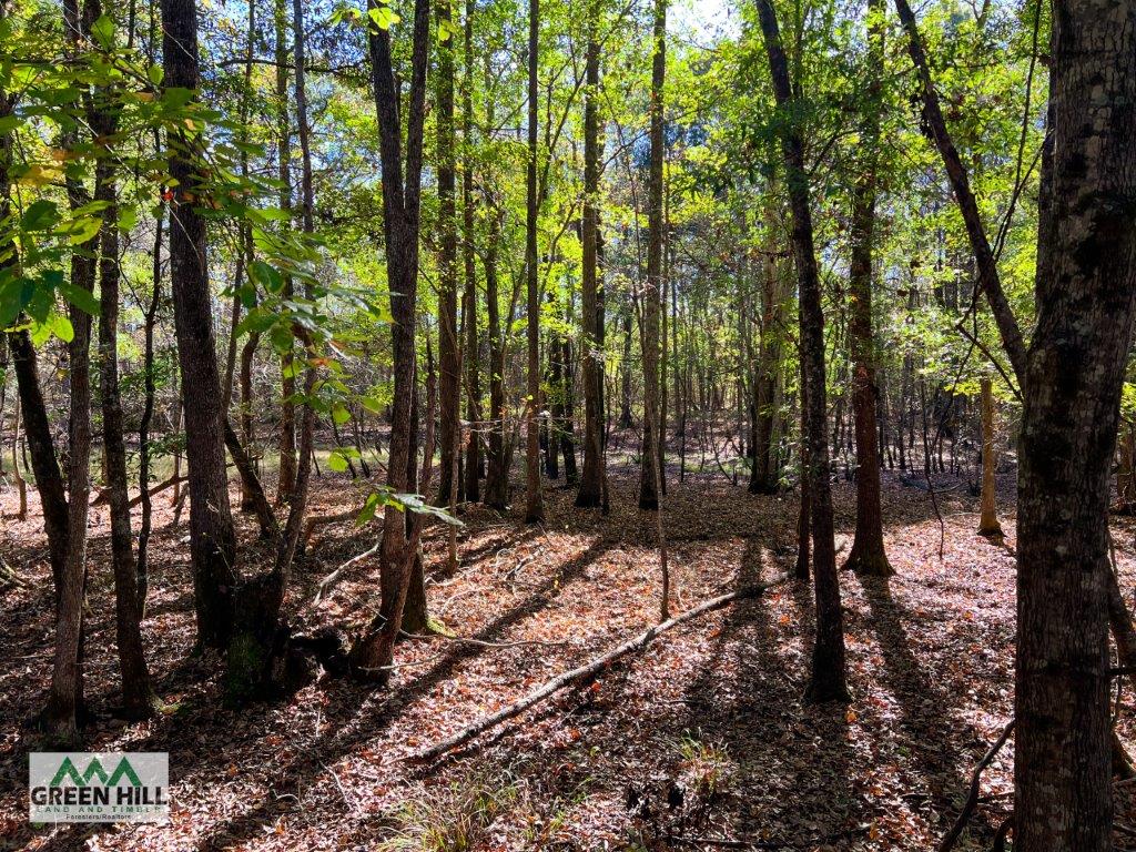 Jenkins County GA 88.5 Acres +/ Green Hill Land & Forestry