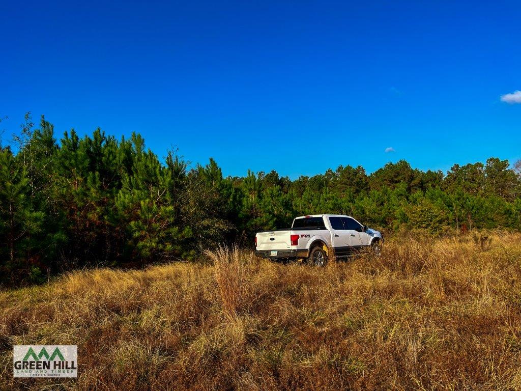 Dodge County GA 101 Acres +/ Green Hill Land & Timber