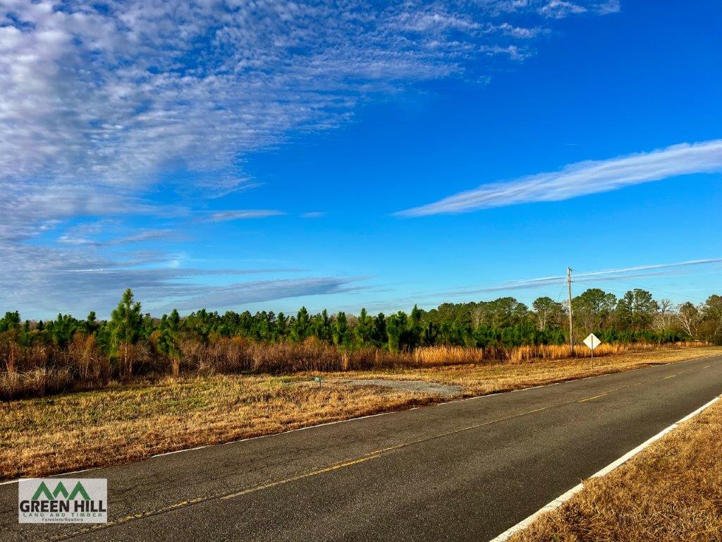 Bleckley County GA 25 Acres +/ Land for Sale Green Hill Land