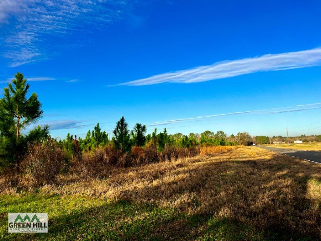 Bleckley County GA 25 Acres +/ Land for Sale Green Hill Land