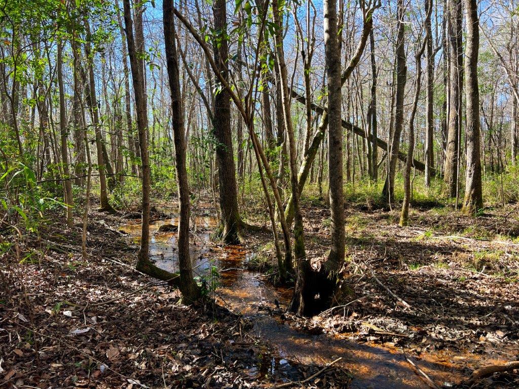 Baldwin County GA 154 Acres +/ Green Hill Land & Timber