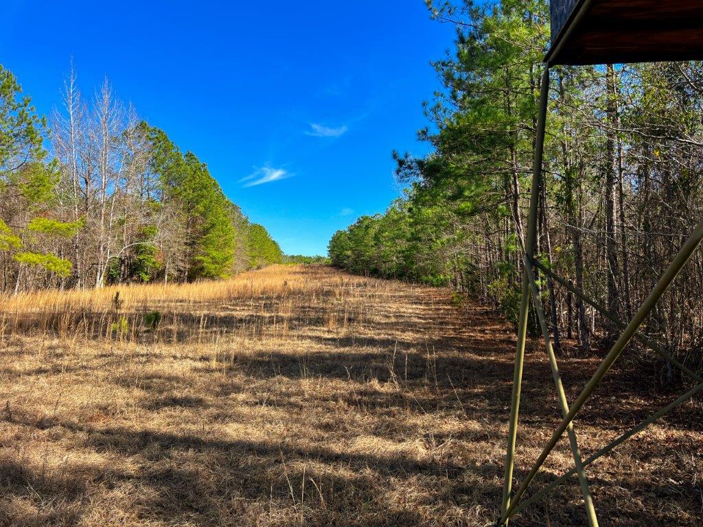 Baldwin County GA 154 Acres +/ Green Hill Land & Timber