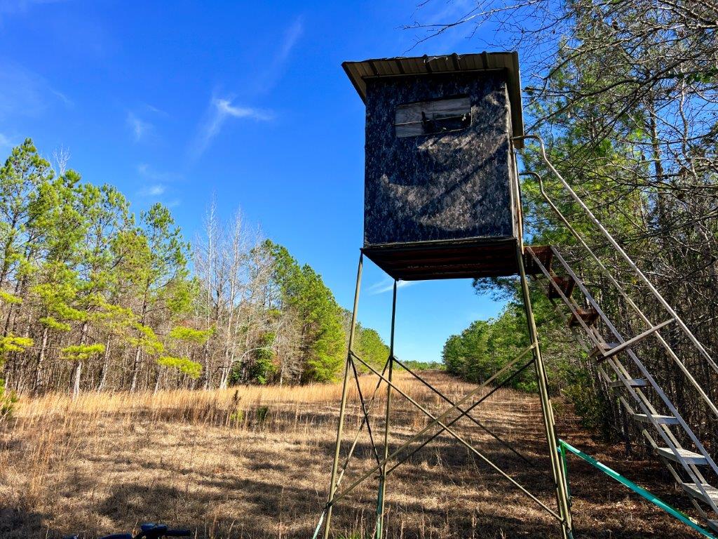 Green Hill Land & Timber and South Carolina Land For Sale