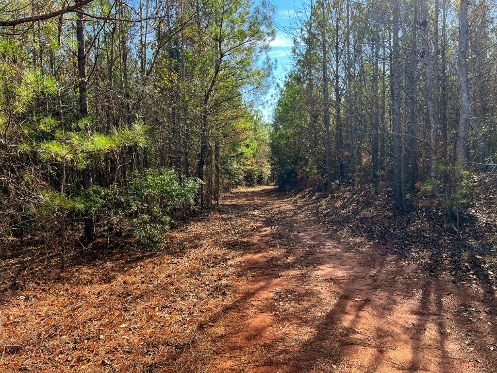 Baldwin County GA 154 Acres +/ Green Hill Land & Timber