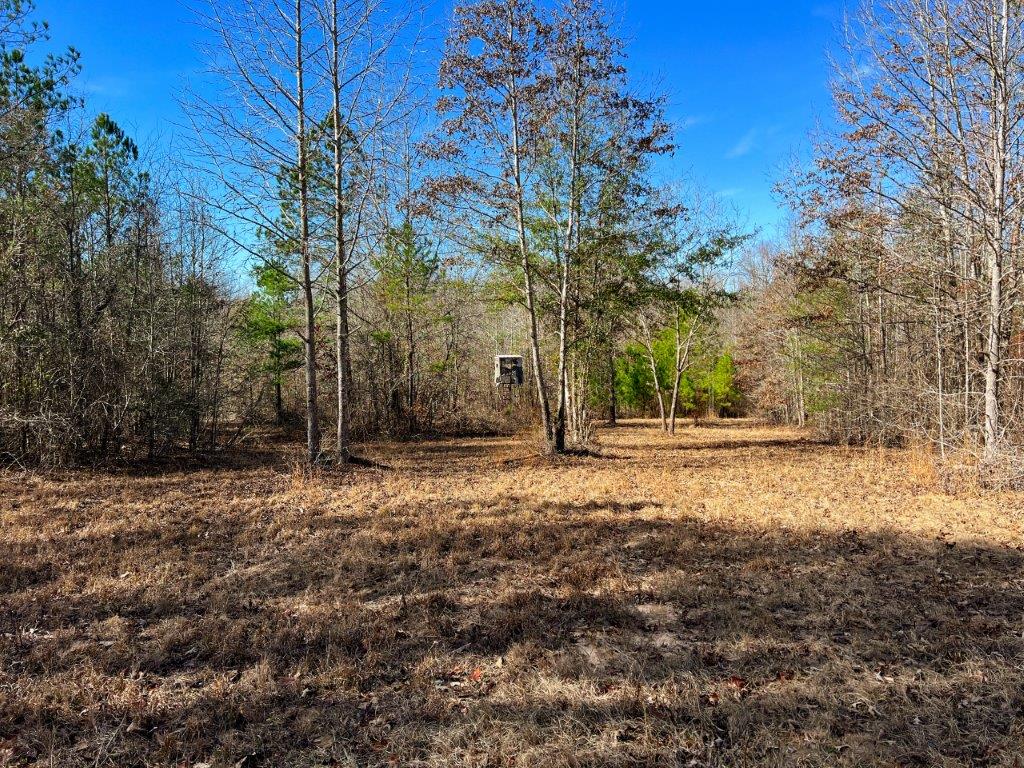 Baldwin County GA 154 Acres +/ Green Hill Land & Timber