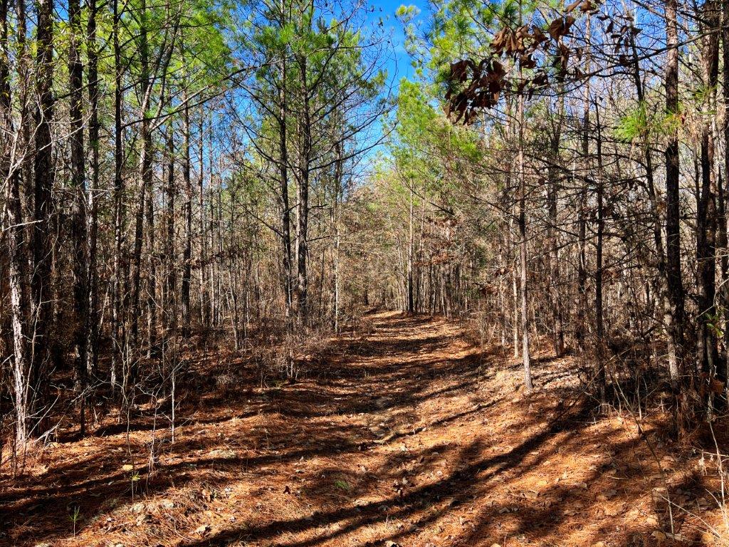 Baldwin County GA 154 Acres +/ Green Hill Land & Timber
