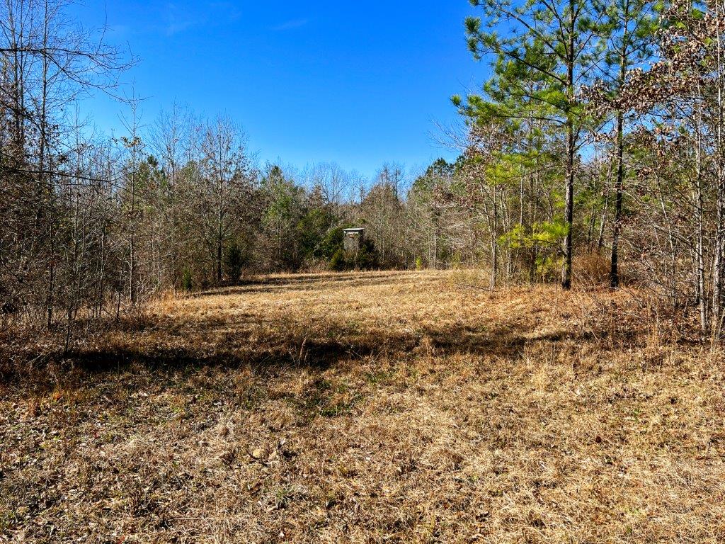 Baldwin County GA 154 Acres +/ Green Hill Land & Timber