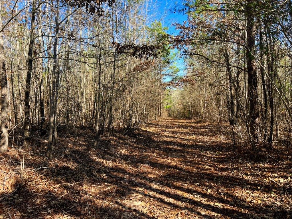 Baldwin County GA 154 Acres +/ Green Hill Land & Timber