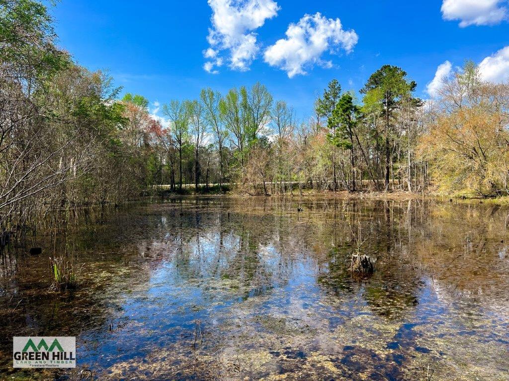 Dodge County GA 36 Acres +/ Green Hill Land & Forestry