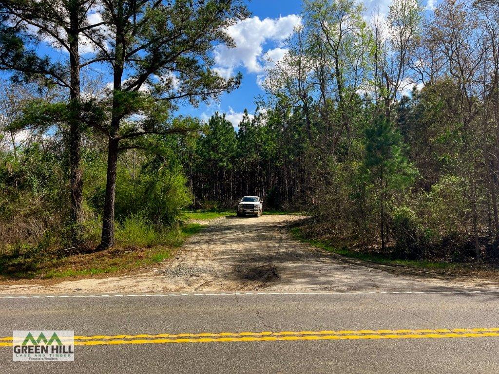 Dodge County GA 36 Acres +/ Green Hill Land & Forestry