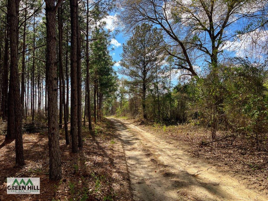 Dodge County GA 36 Acres +/ Green Hill Land & Forestry