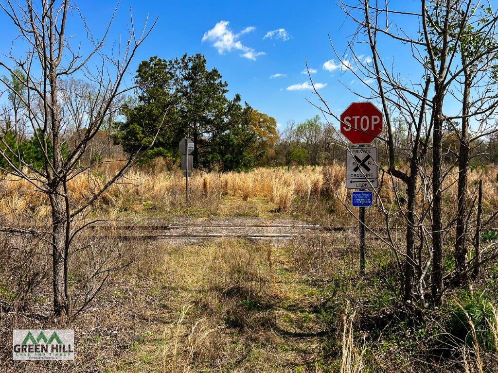 Washington County GA 136 Acres +/ Green Hill Land & Forestry